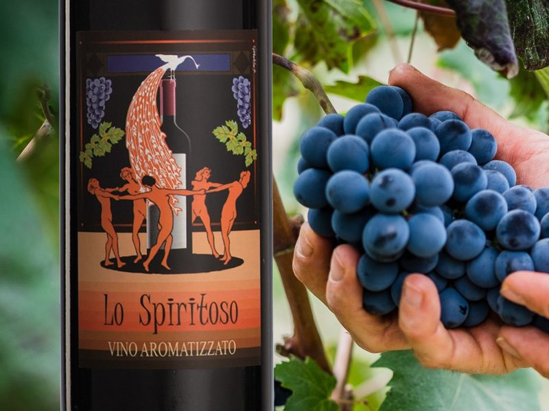 lo spiritoso vino aromatizzato